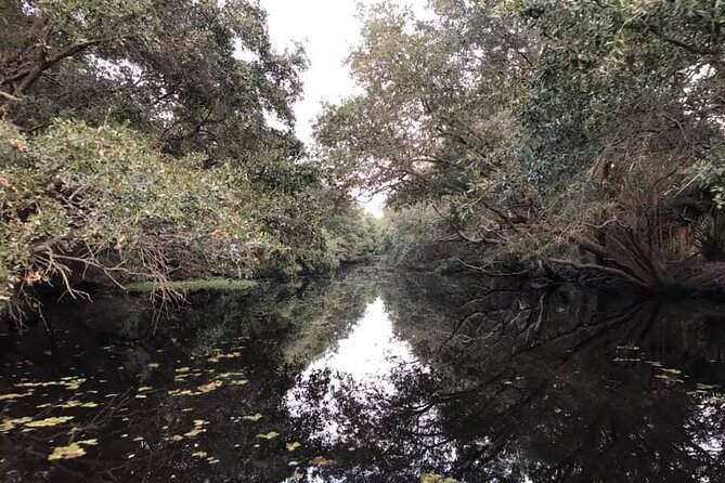 2 Hours Boat Tour in Louisiana Bayous Near New Orleans - Key things that make this boat tour worth your time