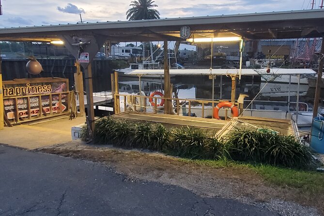 2 Hours Boat Tour in Louisiana Bayous Near New Orleans - Price and value: what $75 buys you here