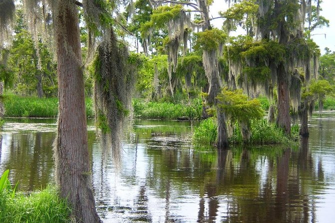 Airboat Swamp and Destrehan Plantation Tour from New Orleans - A Smooth Start From Downtown New Orleans (Without the Stress)
