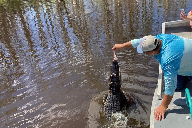 Airboat Swamp Tour - Stop in Luling: the swamp loop and wildlife spotting time
