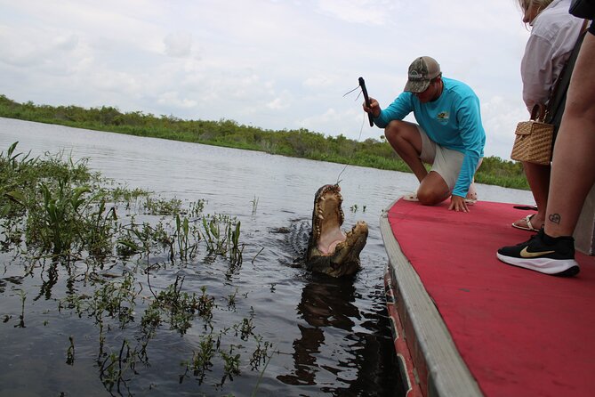 Airboat Swamp Tour - Price and value: what $67 buys you in the real world