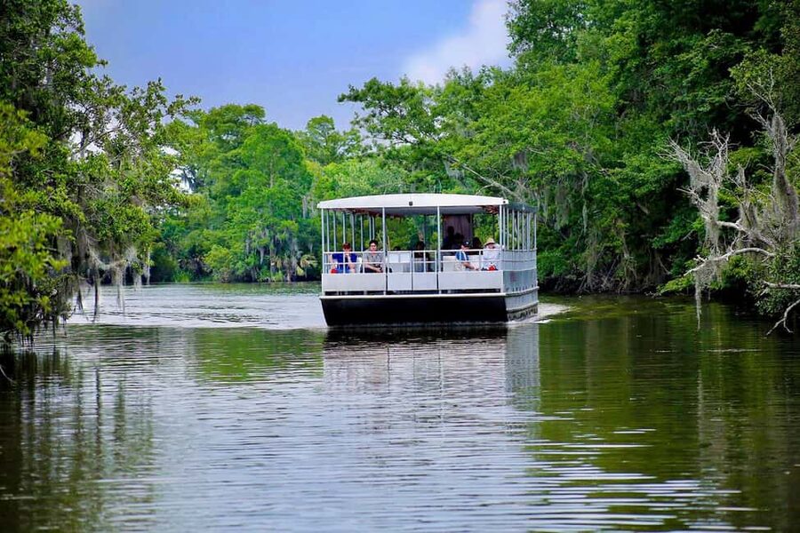 Alligator Swamp Tour by Gray Line New Orleans - The pontoon boat glide: calm swamps, big wildlife opportunities