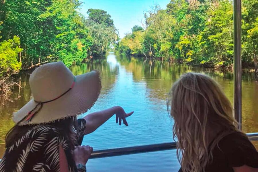 Alligator Swamp Tour by Gray Line New Orleans - Wildlife sightings you can plan around, not just hope for