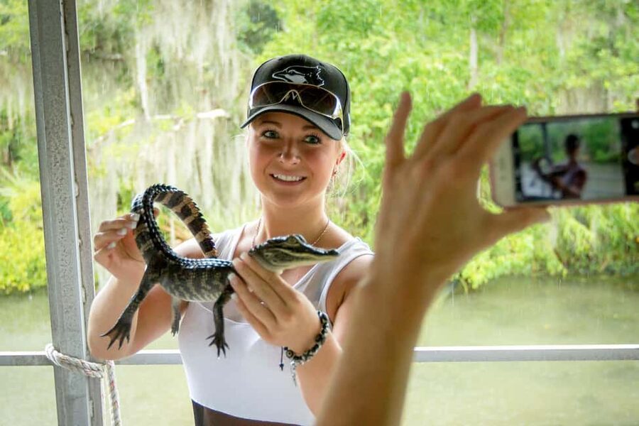 Alligator Swamp Tour by Gray Line New Orleans - The Lafitte connection and the wetlands lesson you’ll remember