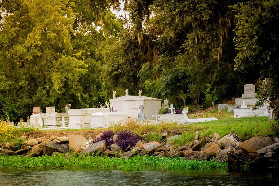 Alligator Swamp Tour by Gray Line New Orleans - Timing and duration: 90 minutes to 4 hours, and why it varies