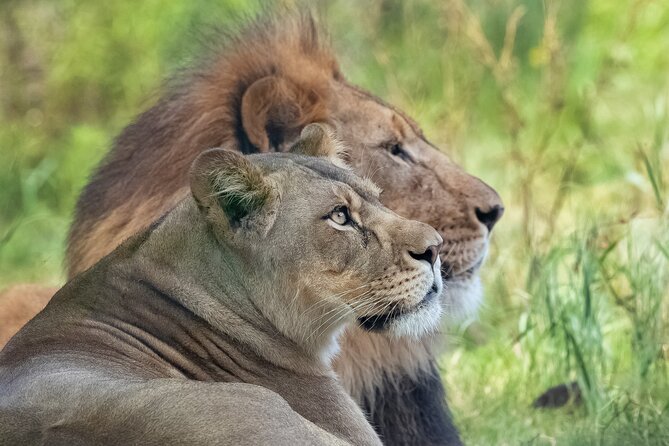 Audubon Zoo Ticket - Price Value for a Mobile Ticket Admission at About $37.60