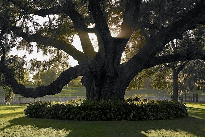 Destrehan Plantation Tour - Folk-life demonstration and why it matters alongside the hard parts