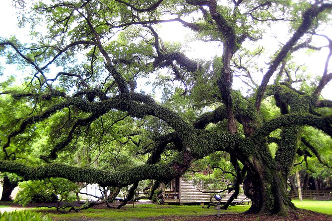 Destrehan Plantation Tour - Getting there from New Orleans without stress