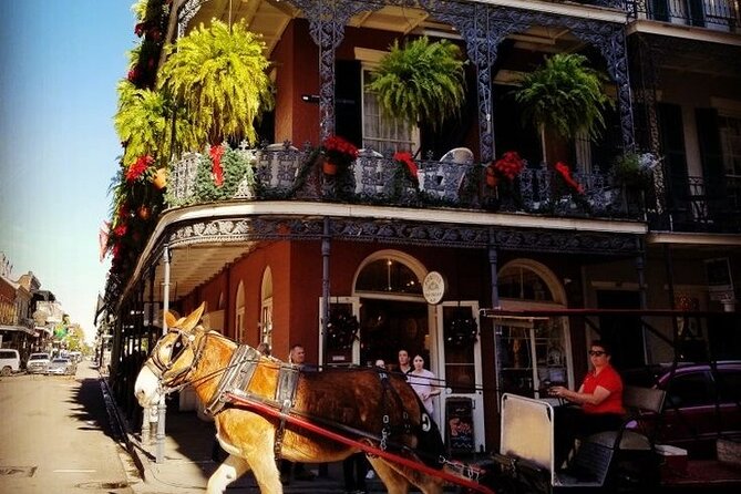 French Quarter Tour with Local Guide and Creole Stories - Key highlights I’d plan around
