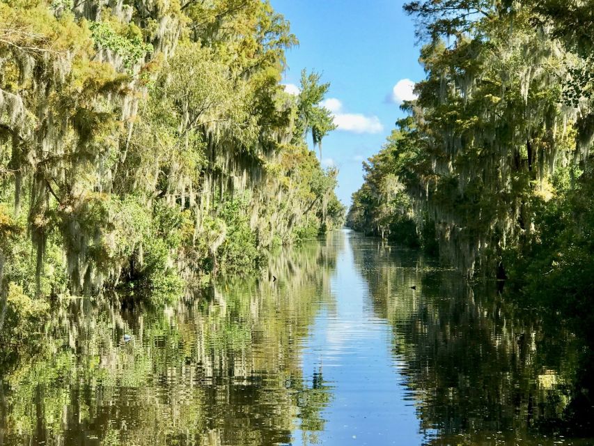From Lafitte: Swamp Tours South of New Orleans by Airboat - The 105 minutes on the water, open swamps and hidden canals