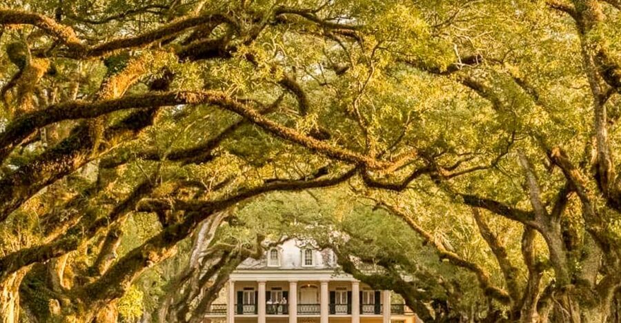 From New Orleans: Oak Alley Plantation Tour - Key things I think you’ll notice