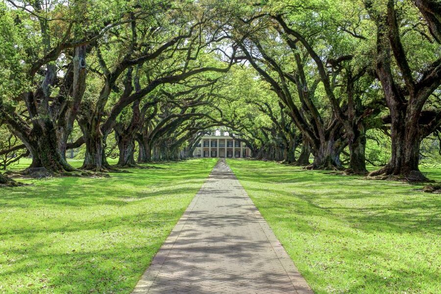 From New Orleans: Oak Alley Plantation Tour - Walking required: heat, humidity, and summer rain reality