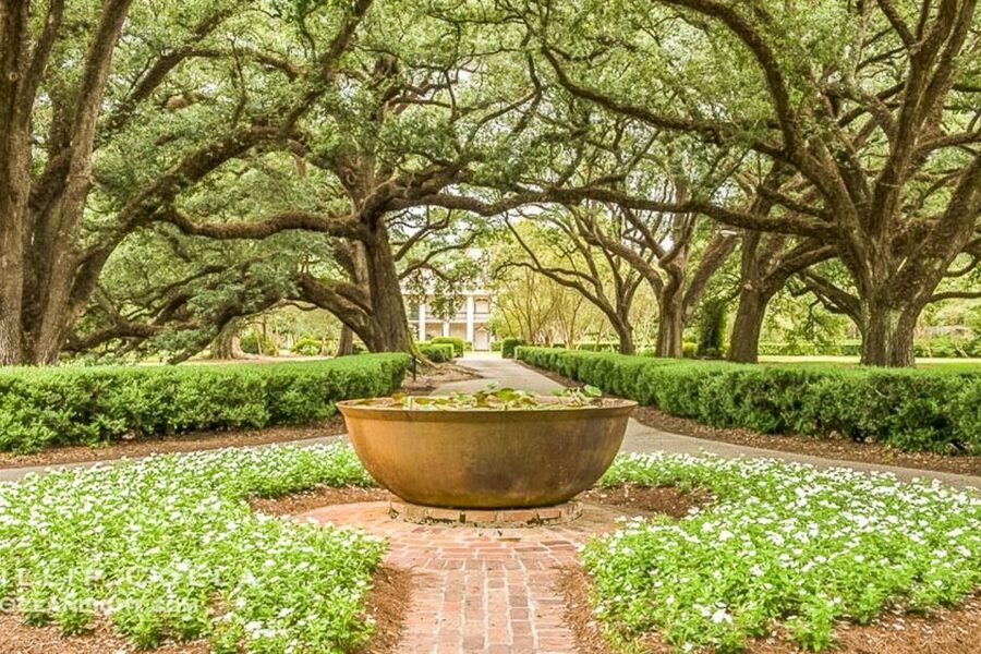 From New Orleans: Oak Alley Plantation Tour - The guided walking tour: what the mansion visit really delivers