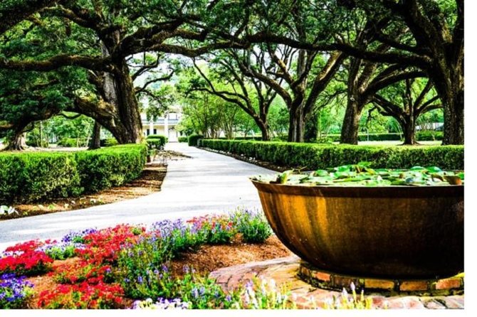 Garden District History and Homes Walking Tour - Key Things I’d Plan Around