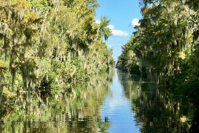 Guided Boat Tour of New Orleans Bayou - Price and value: how $35 fits a one-and-a-half-hour nature experience