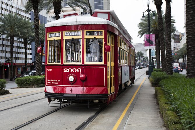 Henley's Private Tours - "Educational-Thoughtful-Entertaining" - French Quarter by Car: Construction, Culture, and Where to Look
