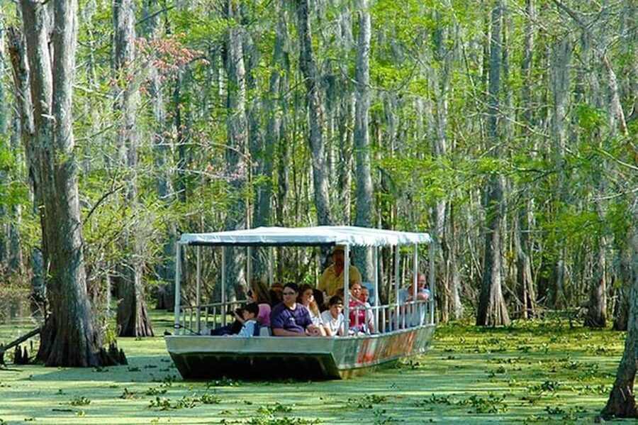Honey Island Swamp and Bayou Boat Tour with Transportation - FAQ