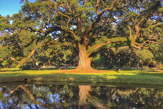 Houmas House Estate and Gardens Guided Tour - The gardens after the house: 38 acres to slow down