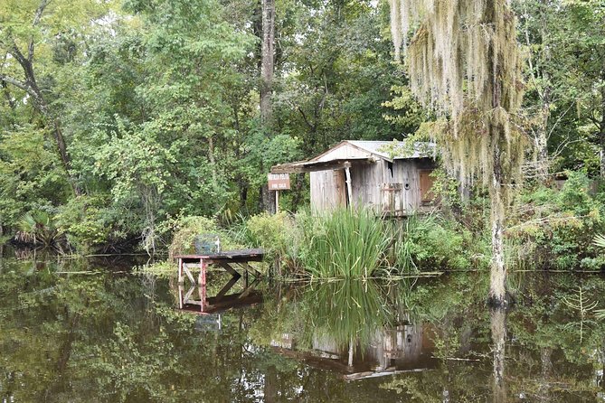 Jean Lafitte 90-Minute Swamp and Bayou Boat Tour - Wildlife Spotting Tricks That Make a Difference