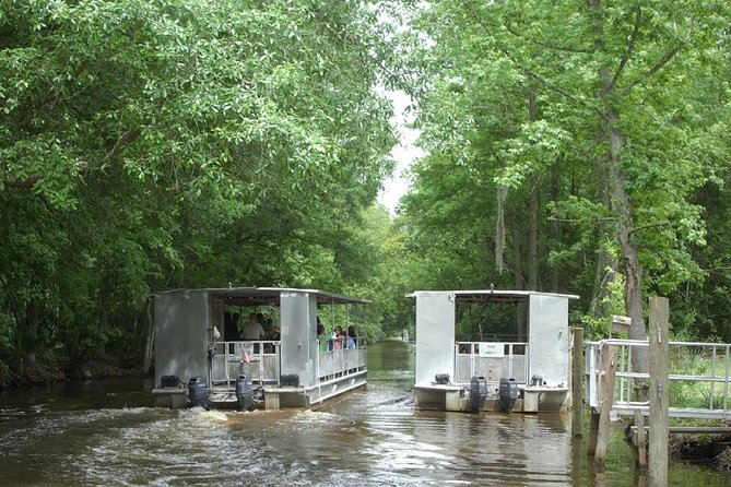 Jean Lafitte 90-Minute Swamp and Bayou Boat Tour - Captains and Narration: Keeping It Fun Without Making It a Theme Park