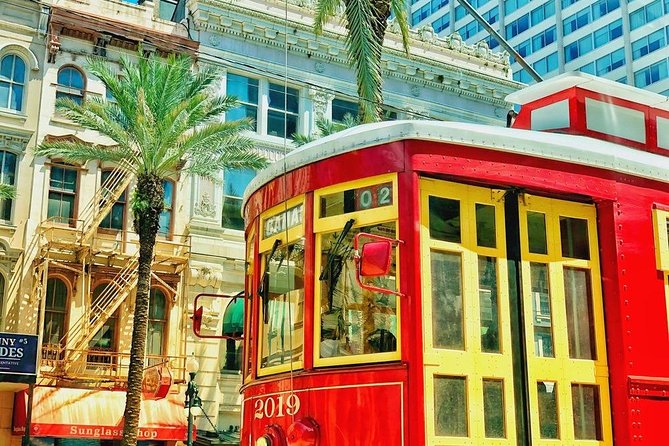 La Vie NOLA: Private City Tour of New Orleans - University area drives: Tulane and Loyola, plus the homes of the American Sector