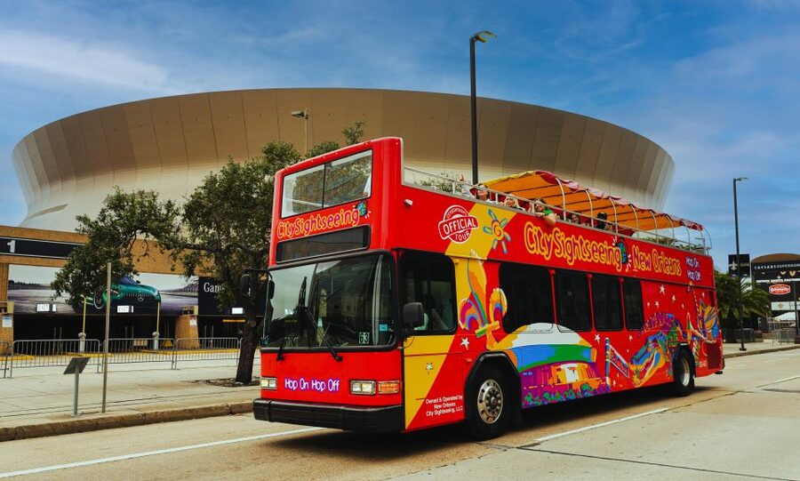 New Orleans: 2 or 3 Day Hop-On Hop-Off Bus with Walking Tour - Who should book this bus and walking tour combo