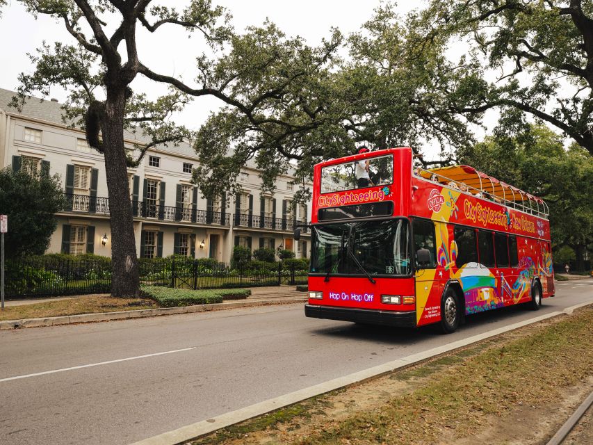 New Orleans: 2 or 3 Day Hop-On Hop-Off Bus with Walking Tour - The real schedule: planning around the last bus and daytime heat