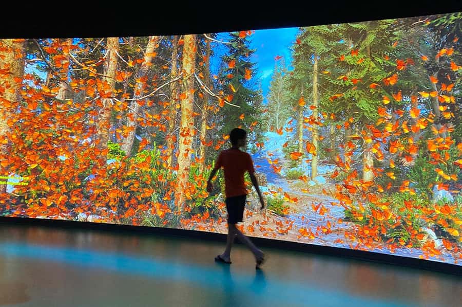 New Orleans: Audubon Aquarium & Insectarium Ticket - The Practical Route Through the Aquarium Galleries