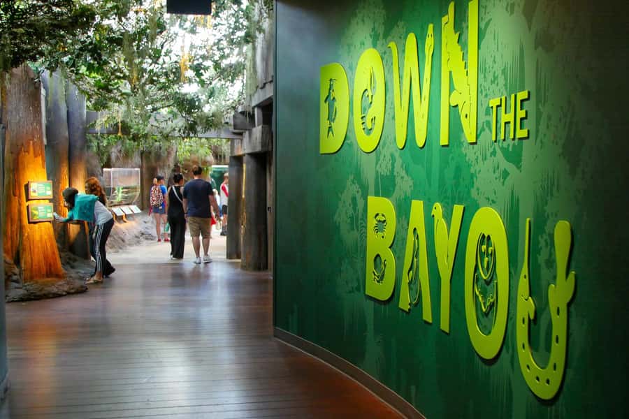 New Orleans: Audubon Aquarium & Insectarium Ticket - Seeing the Great Maya Reef From a 30-Foot Clear Tunnel