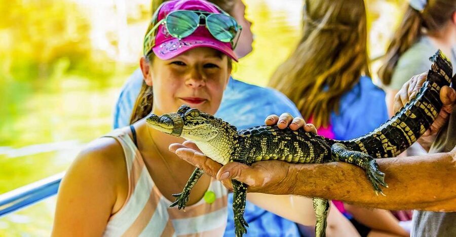 New Orleans: Bayou Swamp Tour and Oak Alley Plantation Tour - From your hotel to the bayou: how the day is timed