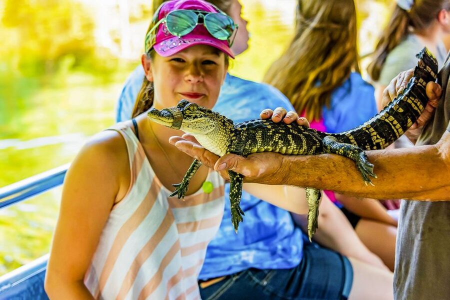 New Orleans: Bayou Swamp Tour and Oak Alley Plantation Tour - Alligators, rescued animals, and the gauze safety question