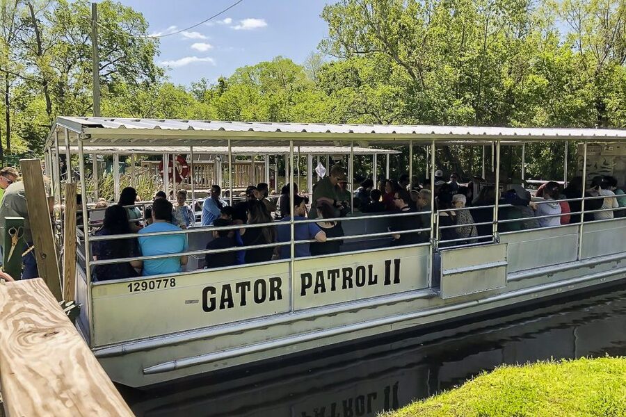 New Orleans: Bayou Swamp Tour and Oak Alley Plantation Tour - Who this tour suits best (and who should skip it)