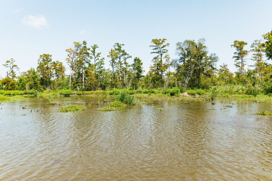 New Orleans: Bayou Tour in Jean Lafitte National Park - Your Guide on the Water: Stories, Stops, and That Local Humor