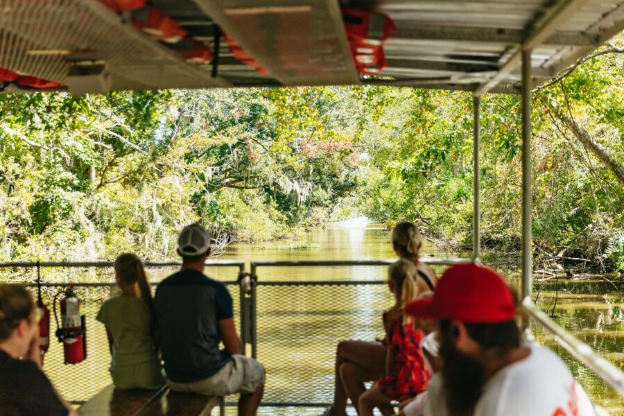 New Orleans: Bayou Tour in Jean Lafitte National Park - Wildlife You Can Realistically Look For