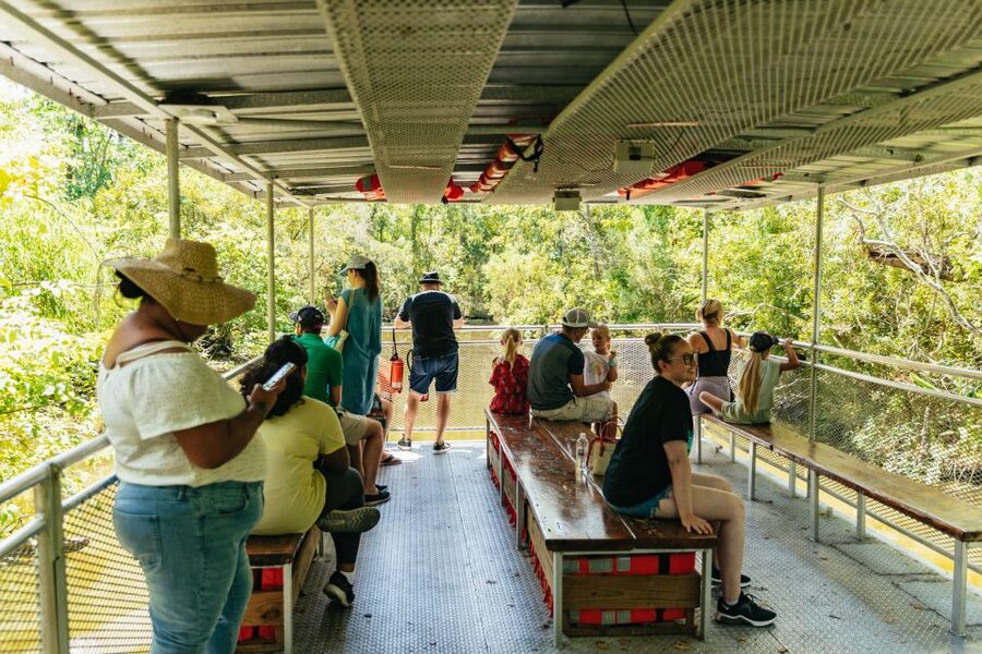 New Orleans: Bayou Tour in Jean Lafitte National Park - Meeting at 6601 Leo Kerner Pkwy: Simple Start, Clear Check-In