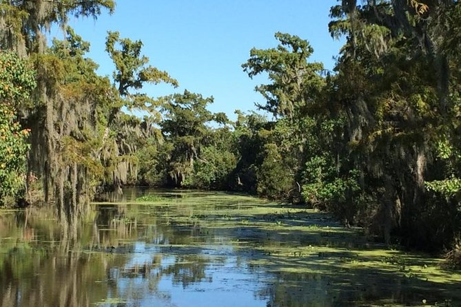 New Orleans City, Cemetery and Swamp Full-Day Tour - Barataria Preserve: covered swamp boat vs airboat choice