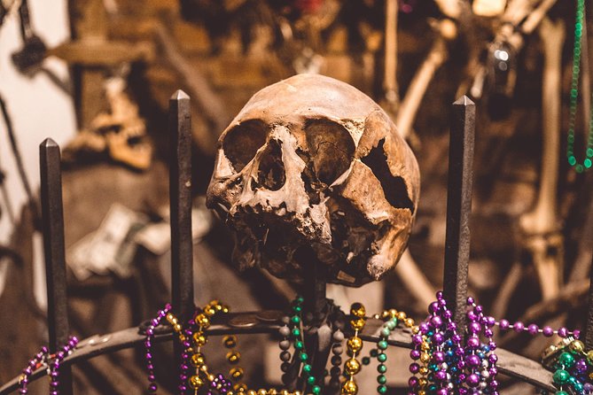 New Orleans Combo Tour: Voodoo, Vampire, and Ghost Tour - Meeting Point Off Decatur: Why Location Matters for a 8:30 Start