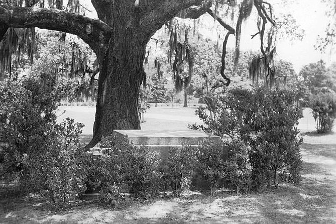 New Orleans Dead of Night Ghosts and Cemetery Bus Tour - Charity Hospital Cemetery and the haunted-stops rhythm