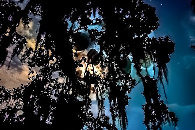 New Orleans: Dead of Night Ghosts and Cemetery Bus Tour - The Two-Hour Night Ride: What the 7:00 PM and 9:30 PM Tours Feel Like