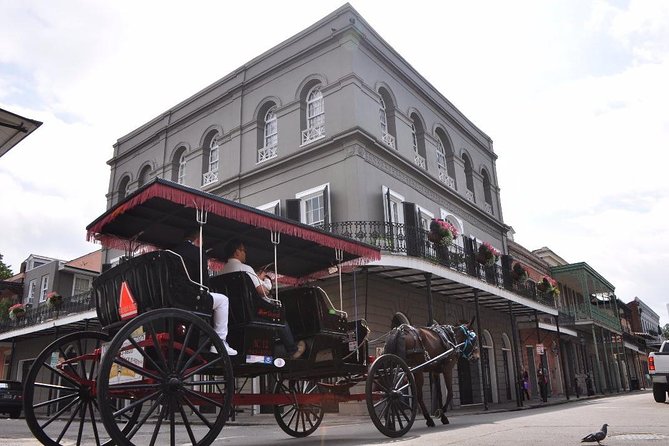 New Orleans French Quarter and More Carriage Ride - Decatur Street meetup, covered comfort, and the rhythm of a one-hour tour