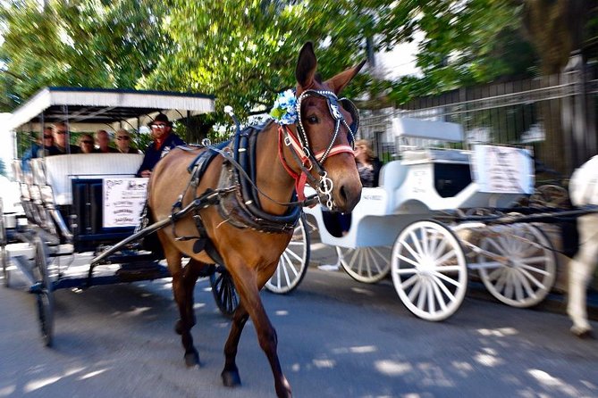 New Orleans French Quarter and More Carriage Ride - Pontalba Buildings and Place d’Armes: the Quarter’s architecture lesson, not just photos