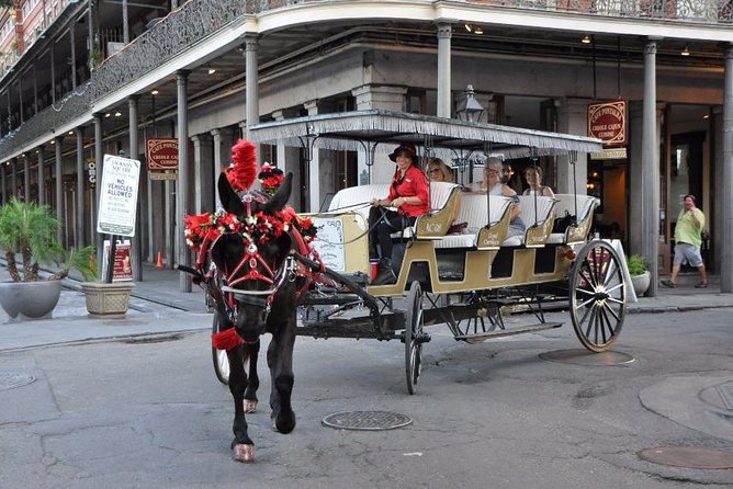 New Orleans French Quarter and More Carriage Ride - What to do with the last 30 minutes after the carriage ride