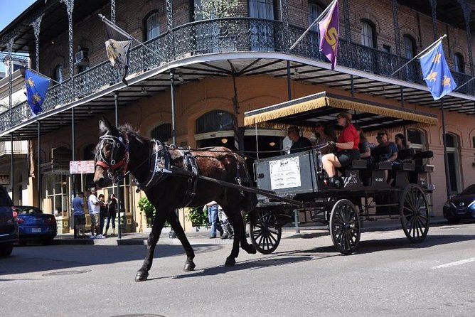 New Orleans French Quarter and More Carriage Ride - Is it worth $65? Value compared to self-guided walking