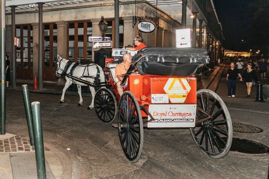 New Orleans: French Quarter Sightseeing Carriage Ride - Practical Tips Before You Go (So the Tour Feels Easy)