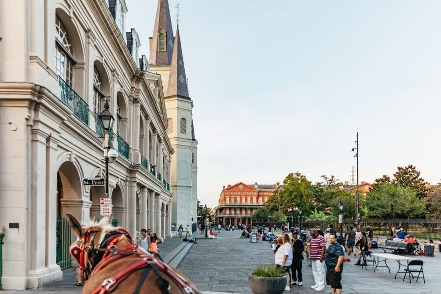 New Orleans: French Quarter Sightseeing Carriage Ride - Why Mule-Drawn Carriages Beat Walking in the French Quarter