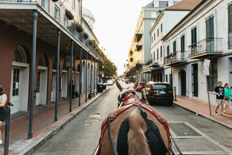 New Orleans: French Quarter Sightseeing Carriage Ride - Price and Timing: Is $65 Worth One Hour?
