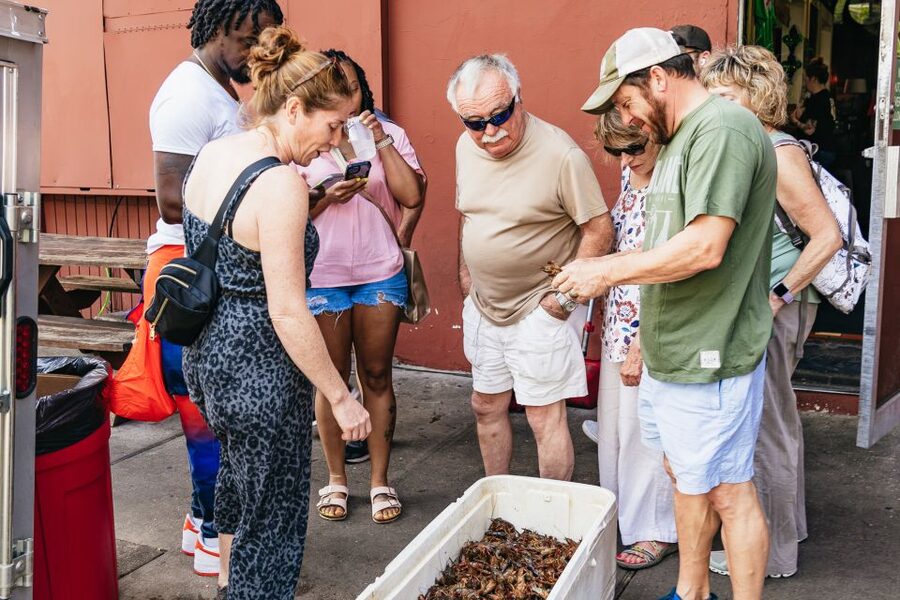 New Orleans: Garden District Food, Drinks & History Tour - Lafayette Cemetery to Magazine Street, One Walk With a Clear Story