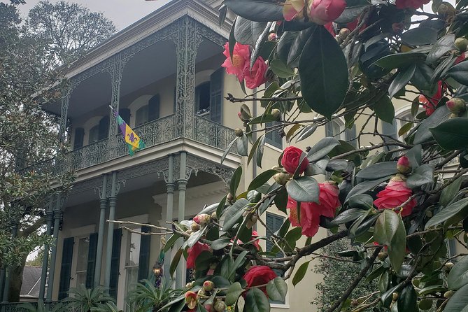 New Orleans Garden District History Walking Tour - Price and value: is $35 for 2 hours a fair deal?