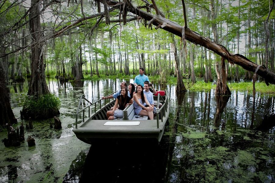 New Orleans: Go City All-Inclusive Pass with 25+ Attractions - Swamp and Boat Tours: Alligators, Cajun Pride, and the Nature Day