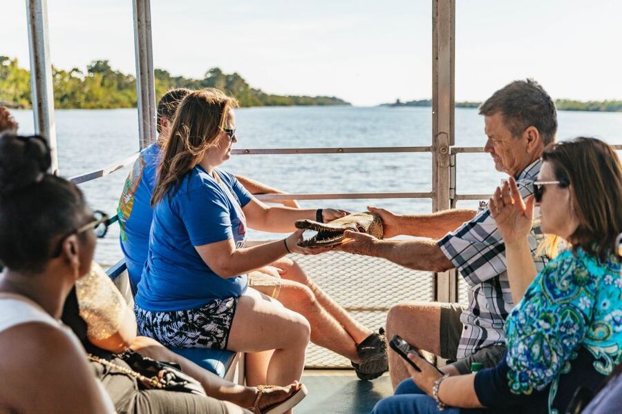 New Orleans: Guided Swamp Cruise by Tour Boat - Photo and Comfort Reality Check: Bugs, Wind, and Rain